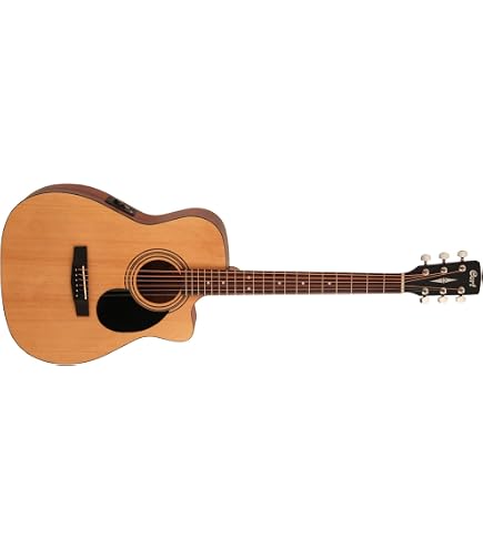 Washburn EA12B Mini Jumbo Elektro Akustik Gitar : Amazon.com.tr